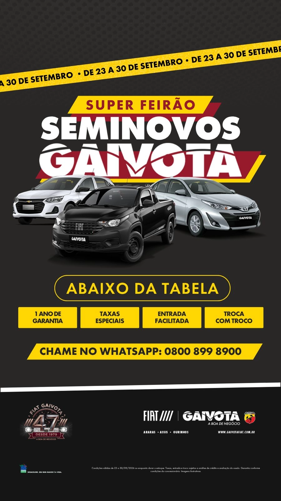 gaivota