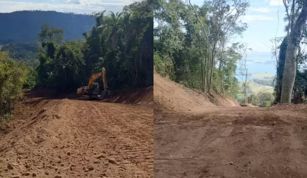 Fazendeiro é multado em quase R$ 40 mil por desmatamento em área de proteção ambiental entre Fartura e Timburi