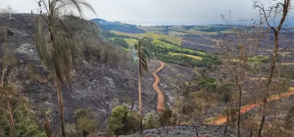 Governo Federal investiga possível ação criminosa em incêndios em São Paulo