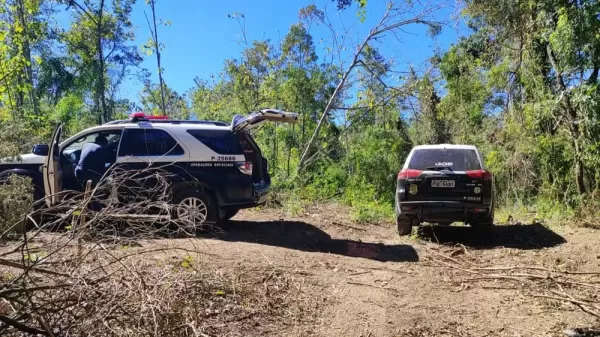 Ossadas de gado e caminhonete furtada são achadas enterradas em fazenda de Paranapanema