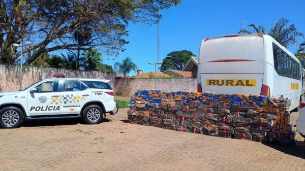 Polícia apreende cerca de uma tonelada de maconha em ônibus na Rodovia Raposo Tavares