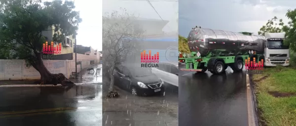 Temporal causa estragos e transtornos em Ourinhos e região