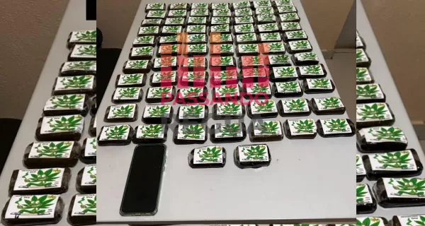 Mulher é presa com quase 8 quilos de droga avaliados em até R$ 800 mil em Ourinhos