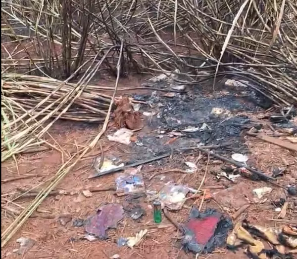 Corpo carbonizado é encontrado em canavial em usina de Ourinhos