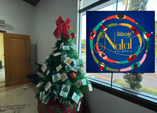 Colégio Bagozzi lança campanha "Natal Solidário 2024" para presentear crianças de bairros carentes em Ourinhos
