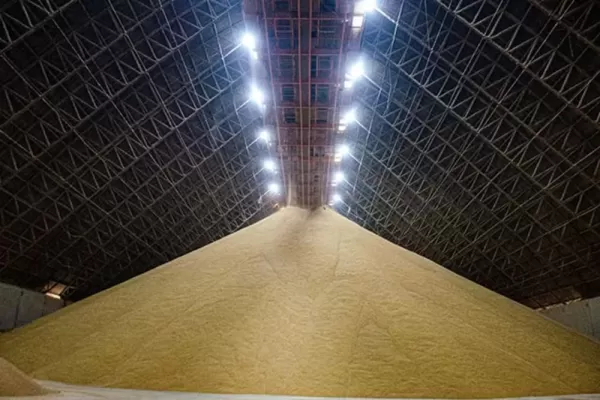 Terminal em Santos é condenado a pagar R$ 2 milhões após morte de trabalhador soterrado por soja