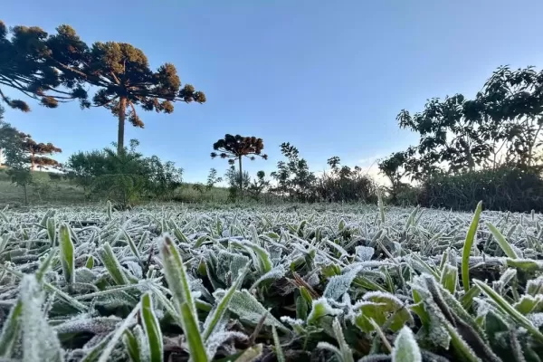 Frio intenso se aproxima de Ourinhos: temperaturas devem cair para 6°C até sexta-feira