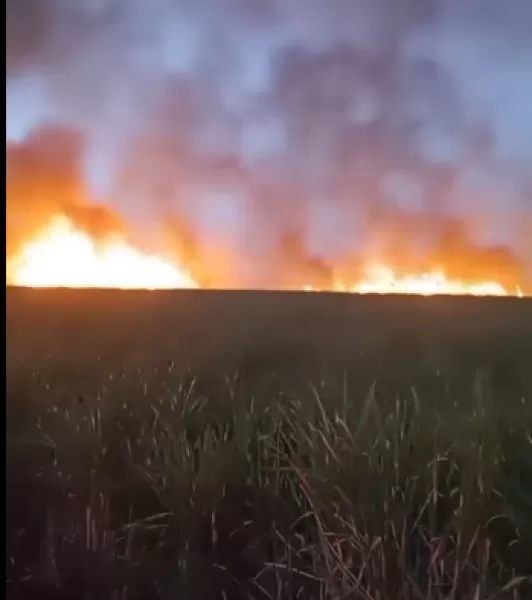 Homem morre em incêndio em canavial na zona rural de Chavantes