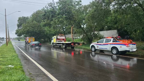 Queda de árvore bloqueia a Raposo Tavares e complica trânsito em Ourinhos