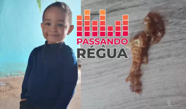 Menino de 3 anos que morreu após ser picado em Cambará sofreu 33 paradas cardíacas