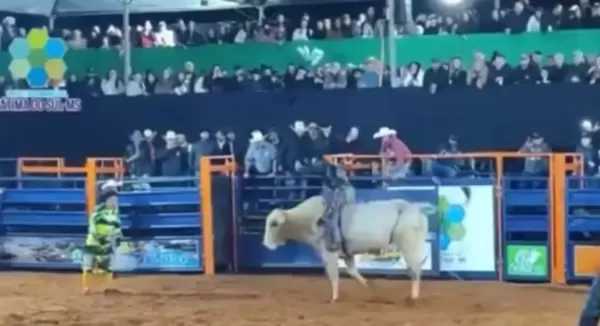 Peão de rodeio morre após ser pisoteado por touro; Veja o vídeo do momento
