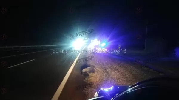 Homem morre após ser atropelado na SP-294, em Tupã; motorista fugiu