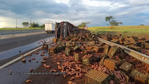 Carreta carregada de batata-doce tomba e interdita faixa da SP-333 em Marília