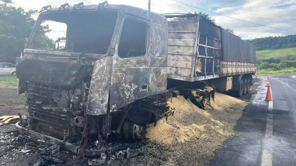 Caminhão pega fogo na BR-153 no Paraná e motorista escapa ileso