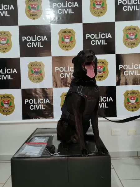 Polícia Civil prende homem em flagrante por tráfico de drogas durante operação em Chavantes