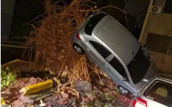 Temporal causa morte, estragos e deixa Ribeirão Preto parcialmente sem energia, telefonia e internet