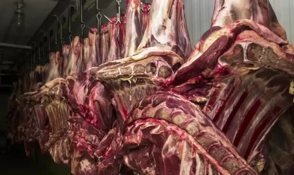 Carne fica de fora da cesta básica em nova versão da regulamentação da tributária