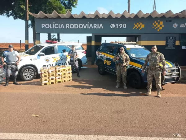 Operação conjunta entre PRF e Polícia Militar apreende 171 tabletes de maconha em Santa Cruz do Rio Pardo 