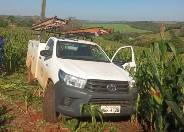 João Neto: Cesta Básica e Panetone
