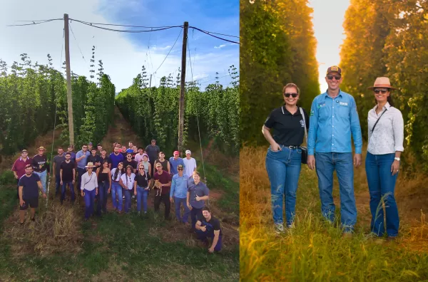 Agronomia e Engenharia Mecânica do UNIFIO realizam visita técnica à Brava Terra Lúpulo 
