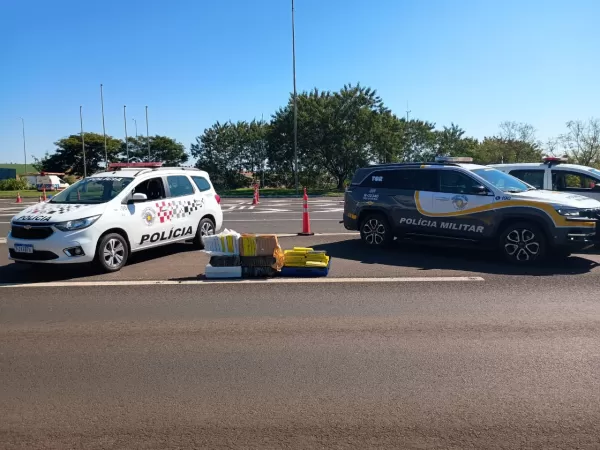 Traficante é preso com mais de 177 kg de maconha durante operação na SP-225 em Santa Cruz do Rio Pardo