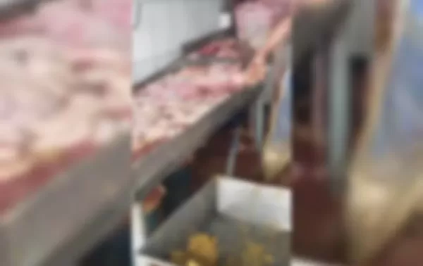 Abatedouro de Tupã é notificado por irregularidades após vistoria da Vigilância Sanitária