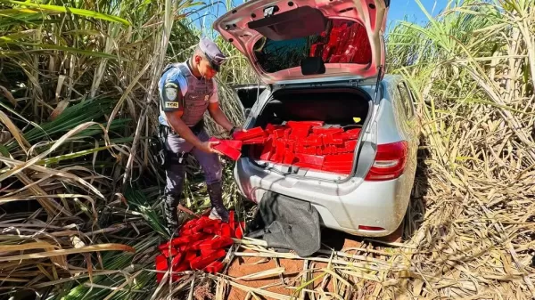 Polícia apreende 304,5 kg de maconha após perseguição em Quatá