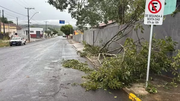 Temporal derruba circo em Gália e provoca estragos em cidades da região; Ourinhos terá semana fria e nublada