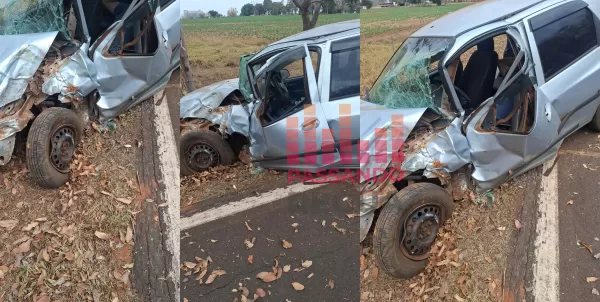 Motorista colide contra eucalipto em vicinal de Caporanga, em Santa Cruz do Rio Pardo 