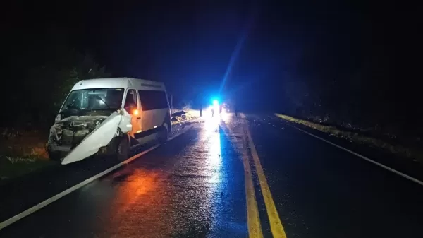 Van da Saúde atropela búfalos na BR-153 e deixa seis feridos na BR-153 