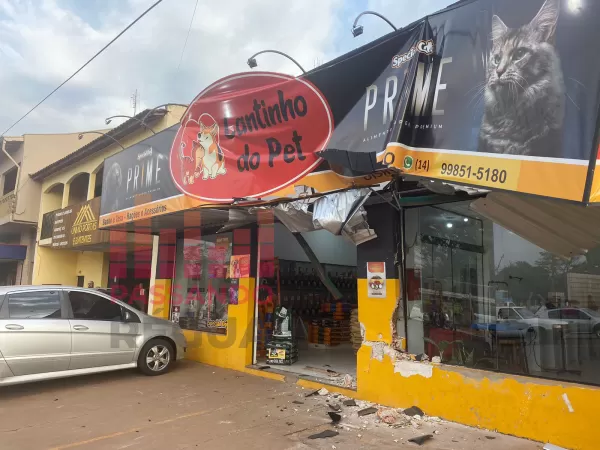 Caminhão bate em petshop em Ourinhos; Vídeo