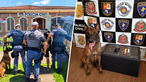BAEP prende homem por tráfico de drogas com apoio de cães farejadores no CDHU, em Ourinhos