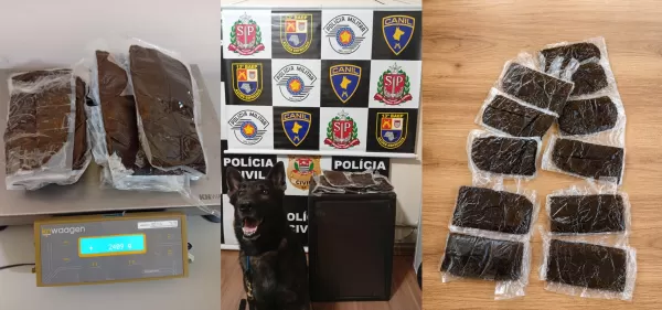 Mulher é presa com mais de 2 quilos de maconha “Dry” na Rodoviária de Ourinhos