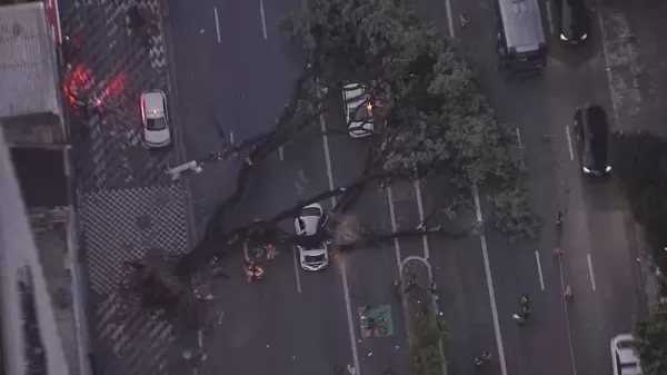 Taxista morre em temporal que causou estragos em São Paulo e deixou milhares sem energia