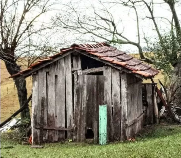 João Neto: Resquícios de felicidades!