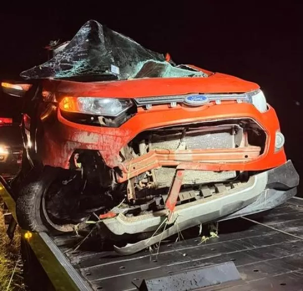 Colisão com javali mata motorista na PR-218 em Joaquim Távora