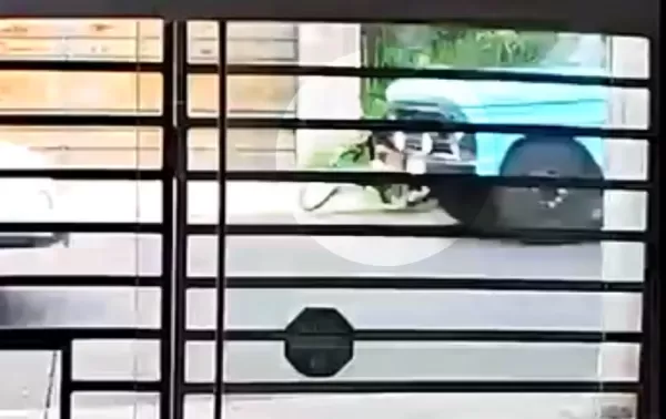 Vídeo: Adolescente de 14 anos morre após ser atropelado por caminhão enquanto andava de bicicleta em Bauru