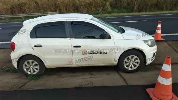 Carro da Prefeitura de Taquarituba atropela cachorro na SP-255, em Jaú