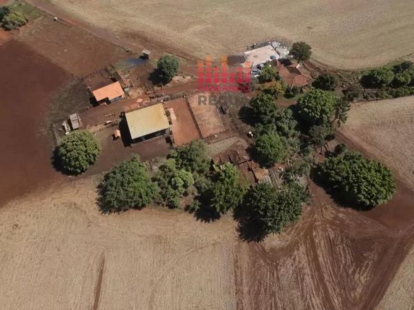 Produtor rural registra boletim após morte de vacas e invasão de propriedade em Ribeirão do Sul