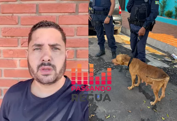 Prefeito atualiza caso dos pitbulls em Ourinhos: fêmea é capturada e macho segue desaparecido