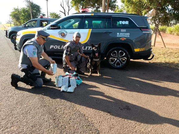 Polícia apreende menor com drogas em ônibus na Rodovia Orlando Quagliato em Ourinhos 