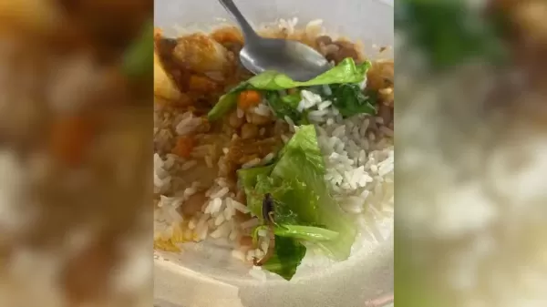 Estudantes encontram escorpião na merenda escolar no interior de SP