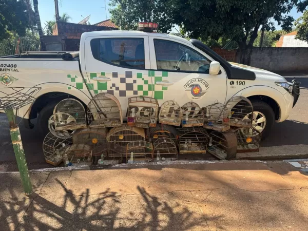 Polícia Ambiental aplica mais de R$ 168 mil em multas por irregularidades com aves silvestres na região de Ourinhos