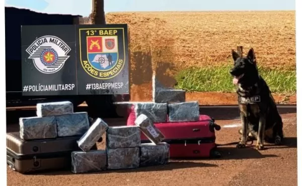 Operação conjunta do BAEP e Polícia Rodoviária apreende grande quantidade de maconha em Santa Cruz do Rio Pardo