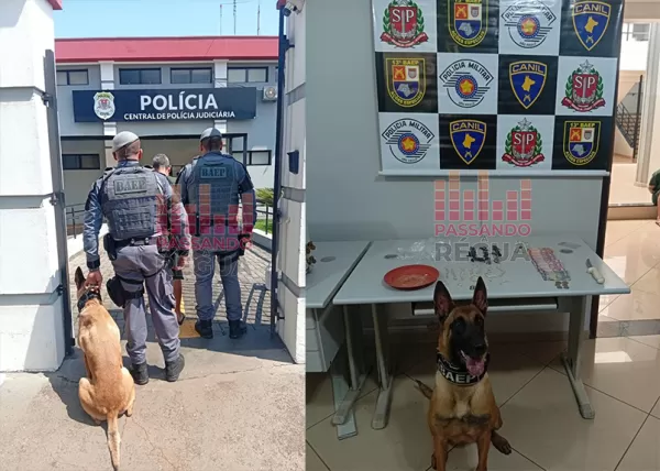 Homem é preso por tráfico após cão do BAEP localizar drogas na Vila Divinéia