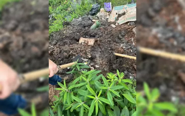 Corpo de homem é encontrado enterrado em área rural de Jaú; um suspeito é preso