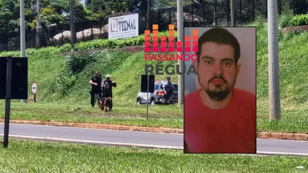 Forças de segurança fazem buscas por homem desaparecido às margens da Raposo Tavares, em Ourinhos