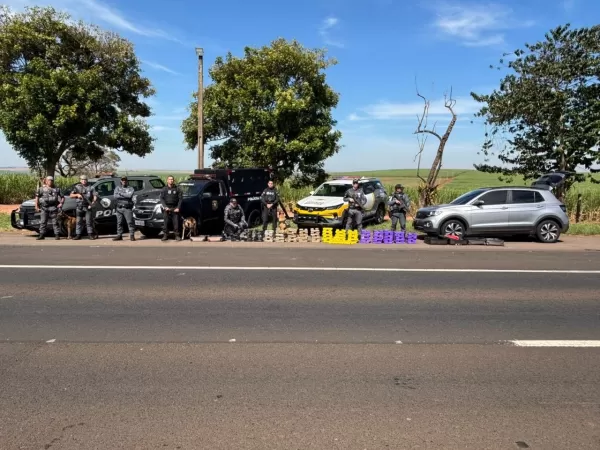 TOR apreende mais de 140 kg de maconha e prende mulher em flagrante em Ourinhos