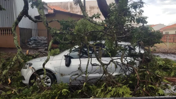 Tempestade com ventos de até 100 km/h causa destruição e mobiliza equipes em Santa Cruz do Rio Pardo