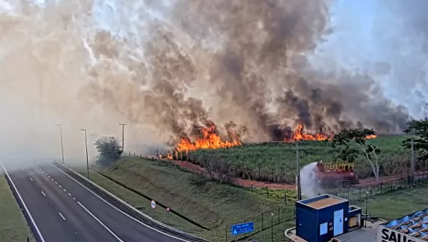 Estado de SP registra em 2 dias quase 7 vezes mais incêndios do que em todo o mês de agosto de 2023, diz Inpe